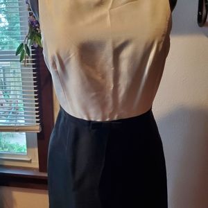Ann Taylor silk dress